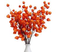 Odoukey 6Pcs Chinese Lantern Flowers Artificial 38.2in Long Orange Chinese Lantern Plant Flexible Faux Winter Fall Branches for Home