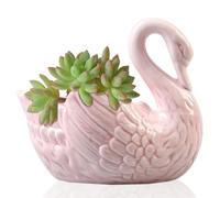 Odoukey Small Pots For Plants,Succulent Plant Pot,Swan Flower Pot,Small Plant Pots,Multi-Function Candlestick Swan Ceramic Ornaments Jewelry Storage Box for Home Decoration(9.5x9.8cm,rosy)