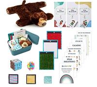 ODOXIA Autism Calm Corner | Calm Down Corner Kit | Calming Posters for Classroom | Calming Corner Kit with Posters, Solutions Wall, Sensory Toys, Fidget Tools | Ideal for Classrooms or Homes