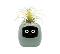 Odpaltoy Smart Plant Pot with Expression, AI Smart Planter Robot for Indoor Decoration, Includes Water/Light/Temperature Sensor, Green