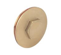 ODSUPPLIES - 2.1/4" Brass Immersion Heater Plug & Washer