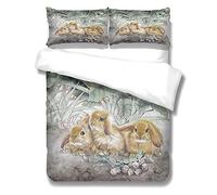 Oduo Cartoon Printed Duvet Cover Set 3 Piece, Single Double King Size Bedding Set with Quilt Cover and Pillowcases - Duvet Cover Sets for Adult Teenager Girls Boys (Rabbit,230x220cm)
