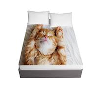 Oduo Fitted Sheets Deep Fit, Cat Print Fitted Sheet Microfibre Elasticated Bed Sheets with Deep Pocket 30cm for Single Double King Size Bed - Easy Care & Durable (Orange Cat,90x200x30cm)