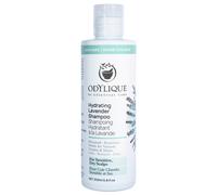 Odylique Hydrating Lavender Shampoo - 200ml