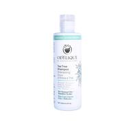 Odylique Organic Tea Tree Shampoo 200ml | For Itchy Scalp | Vegan, Certified Organic & 100% Natural | Sulphate Free & Silicone Free | Salt Free