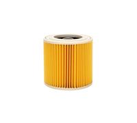 ODYNOWKFG Compatible For Karcher WD WD2 WD3 WD1 MV3 MV2 WD2250 WD3.200 WD3.300 A2004 A2054 A2204 A2656. Vacuum Cleaner Filter Accessories.(1PCS)