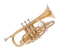 Odyssey OCR200 Debut 'Bb' Cornet Outfit with Deluxe Case & Accessory Kit - Instrument with Gold Lacquered Brass Body and Nickel Silver Valves - Ideal for Beginners and Professionals