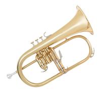 Odyssey OFG1000 Debut 'Bb' Flugal Horn Outfit with Deluxe Case & Accessory Kit - Professional Instrument with Gold Lacquered Brass & Stainless Steel Valves - Ideal for Beginners and Professionals
