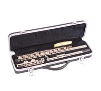 Odyssey OFL100 Debut Closed Hole 'C' Flute Outfit with Deluxe Case - Quality Instrument, Silver Plated with Straight Headjoints - Ideal for Beginners and Professionals