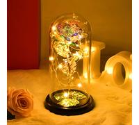 OEAGO Christmas Gifts for Mum from Daughter Son, Rose Flower Lights Mum Secret Santa Presents for Women Wife Grandma on Christmas