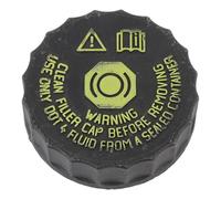 OEBUAFI Brake Fluid Reservoir Cap, Design ABS Material Replacement Part 464334 464331 1610892580, with Excellent Sealing Performance, for 206 207 307 308 408 508 307SW 308SW