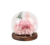 OEBUAFI Eternal Rose in Glass Dome with LED Light, Preserved Flowers for 3 to 5 Years Handcrafted Rose Women Wife Mom on Anniversary Birthday Mothers Day (Pink)