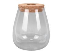 OEBUAFI Oval Glass Hydroponic Vase Plant Terrarium Jar Clear Water Culture Container Tabletop Planter for Desk Home Garden Decor