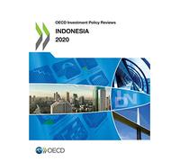 OECD Investment Policy Reviews: Indonesia 2020
