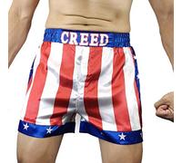 OEM Creed Rocky Men's Apollo Johnson Movie Boxing American Flag Shorts Trunks Boxers (L)