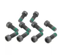 OEM LuK 411014010 Flywheel Screw Bolt Set x10 Kit Fits VW Seat Audi Ford