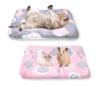 Oerphh 2pcs Small Animal Plush Bed, Washable Warm Fluffy Puppy Blanket Mattres, Ultra Soft Dog Cat Bed Mat Puppy Blanket for Rabbit Guinea Pig Bunny,38×28cm
