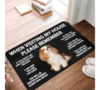 OEUBEQ Front Door Mats When Visiting My House Please Remember Cavalier King Charles Spaniel Indoor Doormat Durable Welcome Front Door Mats Entryway Rugs Non-Slip Resist Dirt Area Rugs Car