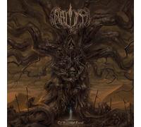 Of Scorched Earth