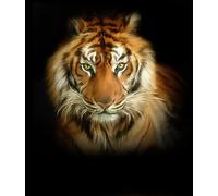 OFA Prints Tiger 10 x 8 inches Giclee Print, in a Canvas-Painting-Style, Limited Edition