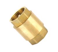 Ofcwoa Vertical Water Check Valve, Check Valve, 1-Way Horizontal Check Valve Made of Solid Brass - Spring Check Valve for Pumps, Tanks and Backflow Prevention