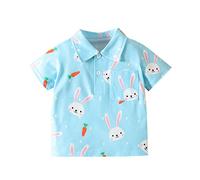 ofeirhz Boys 4t Outfits Short Sleeve Easter Printed Kids Tops T Shirt with Pocket Toddler 3 Boys (Blue, 12-18 Months)