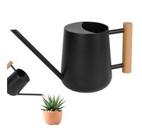 OFFCUP 35oz 1L Watering Can, Stainless Steel Mini Small Watering Can, Plant Flower Long Spout Sprinkling Pot for Home Use Indoors Outdoor Garden Bonsai Succulents (Black)