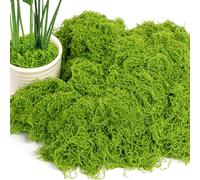 OFFCUP Artificial Moss, Fake Green Moss Decorative Fake Bulk Mosses for Plant Garden Lawn Crafts Decoration Landscaping Model Making, 50g/pack (Light Green)