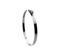 Offgridtec Professional Hose Clamps Rustproof V2 Stainless Steel DIN3017 Band Width 9 mm Clamping Range 100 mm - 120 mm (Pack of 2)