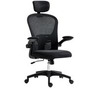 Office Chair Black Mesh Headrest 4D Lumbar Flipup Arms 43-51cm Seat 50x50cm Ergo