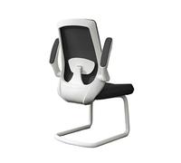 Office Chair Home, Executive With Adjustable Armrests And Metal Sled Base High Back Mesh Desk Chair For Adult Working Study Comfy Computer Chair()