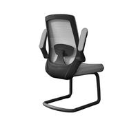 Office Chair Home, Executive With Adjustable Armrests And Metal Sled Base High Back Mesh Desk Chair For Adult Working Study Comfy Computer Chair()