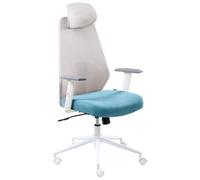 Office Chair ORYN Teal