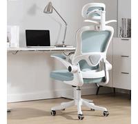 Office Gaming Computer Desk Chair Ergonomic Comfy Mesh Home Chair 3D Adjustable HeadrestRemovable Clothes Rack,Swivel Tilt,Dynamic Back Support,for Study,Working,Executive,Living (Green)