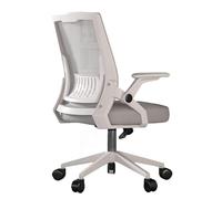 Office Gaming Desk Chair Ergonomic Computer Reclining Chair,Adjustable Armrests Lumbar Support,Comfy Mesh Small Chair,for Study,Working,Executive,living,bedroom,hotel,dining Room (Gray,A)