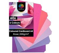 OfficeTree 60x Card A4 300g - 6 Colours - Pink Coloured for Crafting & Printing - 6 Shades from Pale Pink Card to Purple