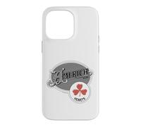 Official America the band Vector Logo Case for iPhone 14 Pro Max