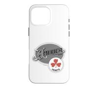 Official America the band Vector Logo Case for iPhone 16 Pro Max