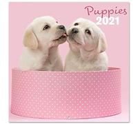 Official Chantrenne Dog 2021 Wall Calendar 11.8 x 11.8 inches (16 Months) Family Planner Calendar 2021,CP21014