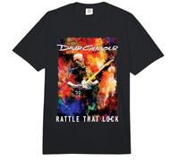 Official David Gilmour Rattle that Lock Guitar Color Storm Comfort Colors Adult Heavyweight T-Shirt