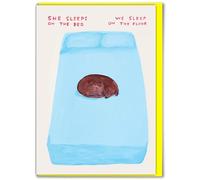 Official David Shrigley - Funny Birthday Card - ‘She Sleeps On The Bed - Witty Amusing Birthday Humour - For Him Her Men Women Friends - Quirky Cards For Art Lovers