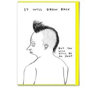 Official David Shrigley - Funny Birthday Card - 'You Will Still Be An Idiot' - Witty Amusing Birthday Humour - For Him Her Men Women Friends - Quirky Cards For Art Lovers