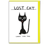 Official David Shrigley - Funny Happy Birthday Card - 'Lost Cat' - Perfect for Friends Mates Him Her Boyfriend Girlfriend Partner - Sold by Brainbox Candy