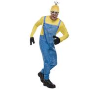 Official Despicable Me Minions Fancy Dress Mens Girls Boys World Book Costume