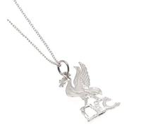 Official Football Team Gift Liverpool F.C. Sterling Silver Pendant & Chain LB