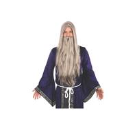 Bristol Novelty BW660 Wizard Wig and Long Beard, White, One Size Grey