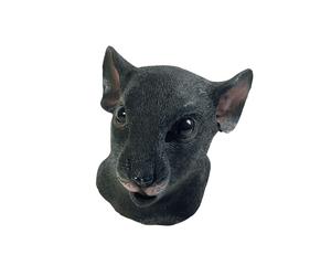 Official Forum Rat Mask