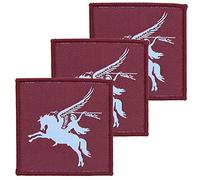 Official Issue 16 Air Assault Brigade Maroon Pegasus Flash TRF x3 TRF Pack