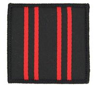 Official Issue RAPTC Royal Army Physical Training Corp Beret Backing
