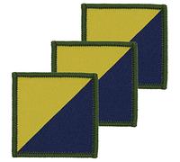 Official Issue RLC Royal Logistics Corp Hook and Loop x3 TRF Pack